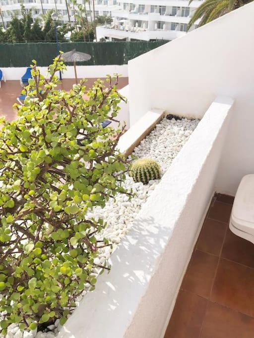 Apartamento Lucia Garden City Con Piscina Climatizada Playa Fanabe Exterior photo