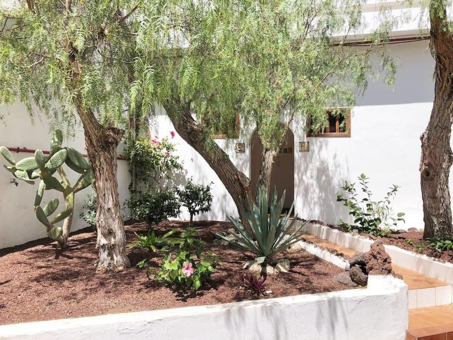 Apartamento Lucia Garden City Con Piscina Climatizada Playa Fanabe Exterior photo