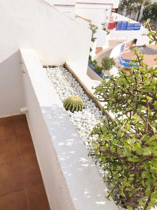 Apartamento Lucia Garden City Con Piscina Climatizada Playa Fanabe Exterior photo