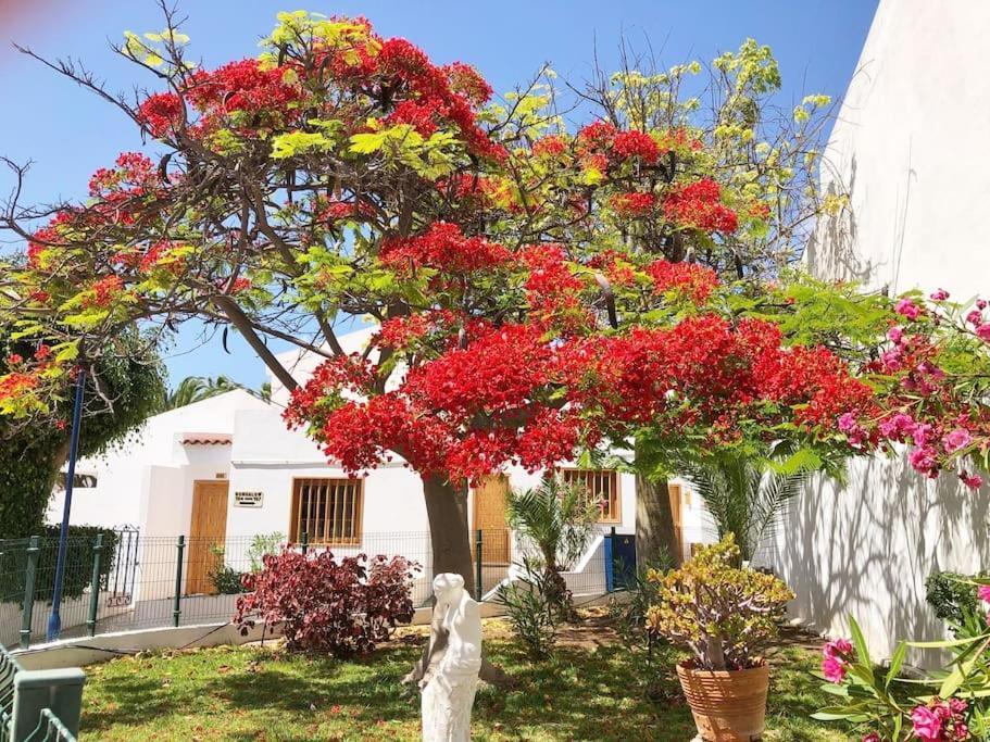 Apartamento Lucia Garden City Con Piscina Climatizada Playa Fanabe Exterior photo